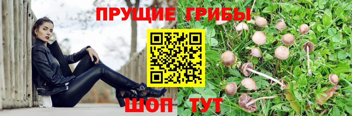 Галлюциногенные грибы Magic Shrooms Таганрог